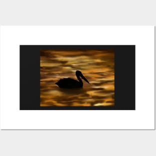 Pelican silhouetted at sunset Posters and Art